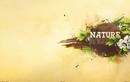 哪里不会跑路的云呼网页版